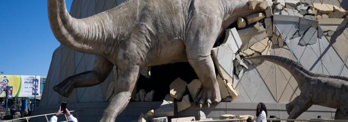 A large model dinosaur bursts out of a beige and gray building. The Alamosaurus wears a pair of eclipse glasses. In the foreground, a child lifts their phone to take a picture of the dinosaur.